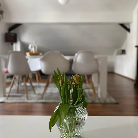 Appartamento Haus Os Bischofshofen Esterno foto